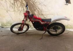 Fantic Motor Trial 300 / 301 P2 usata