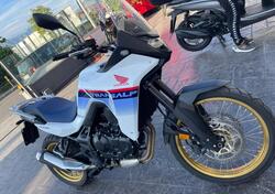 Honda Transalp XL750 (2023 - 24) usata