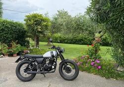 Mutt Motorcycles Mongrel 250 (2021 - 25) usata