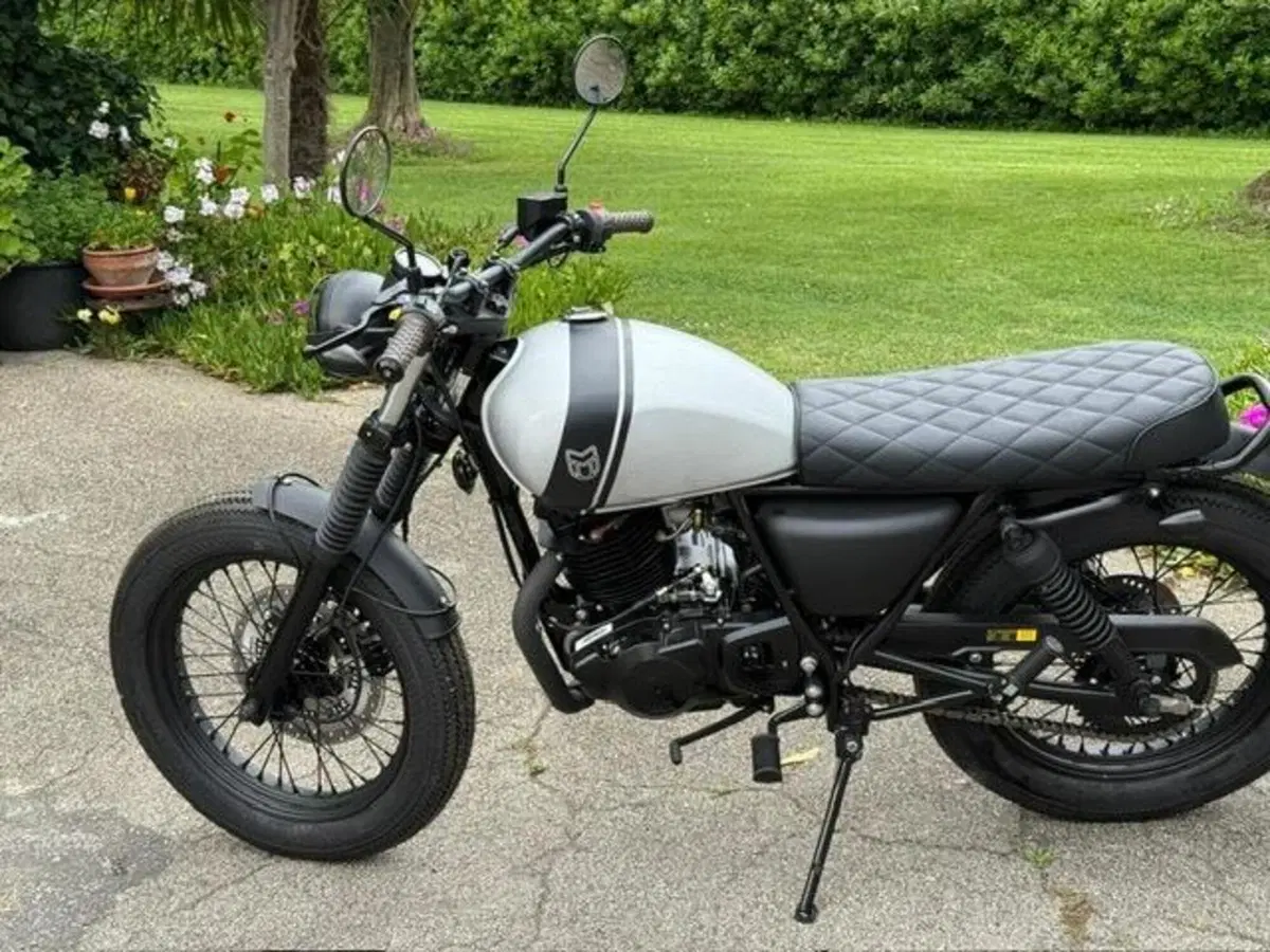 Mutt Motorcycles Mongrel 250 (2021 - 25) (5)