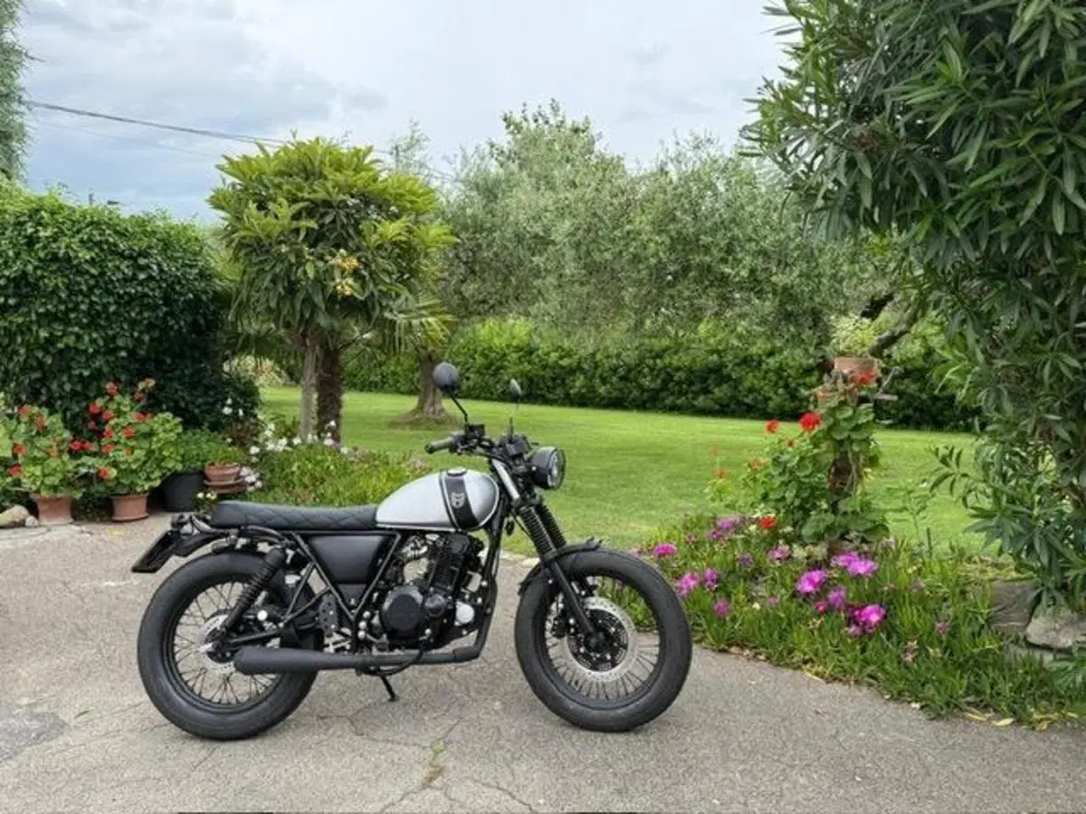 Mutt Motorcycles Mongrel 250 (2021 - 25) (8)
