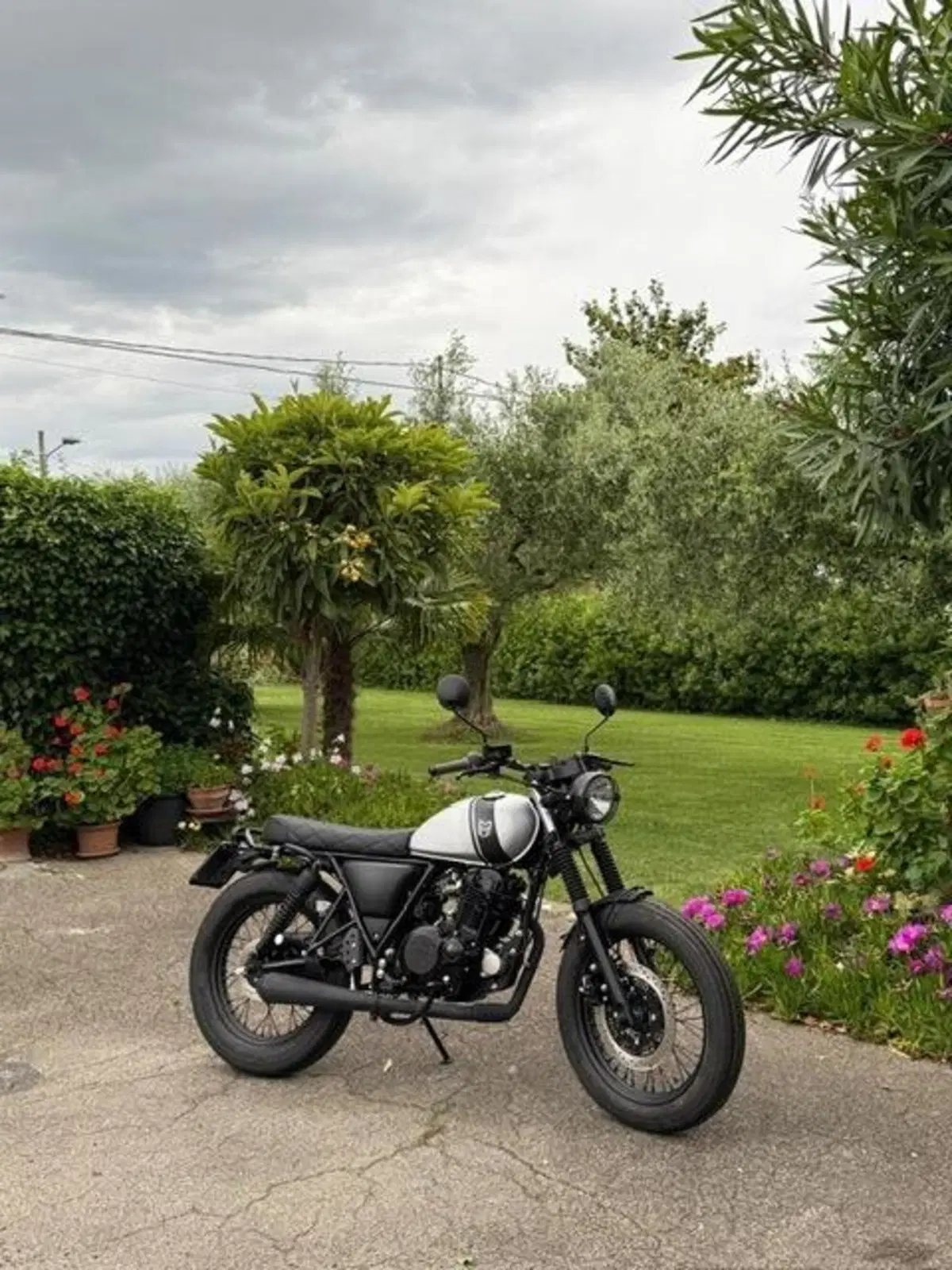 Mutt Motorcycles Mongrel 250 (2021 - 25) (9)