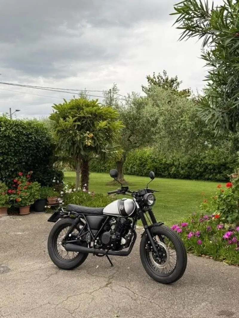 Mutt Motorcycles Mongrel 250 (2021 - 25) (9)