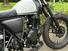 Mutt Motorcycles Mongrel 250 (2021 - 25) (10)