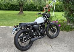 Mutt Motorcycles Mongrel 250 (2021 - 25) nuova