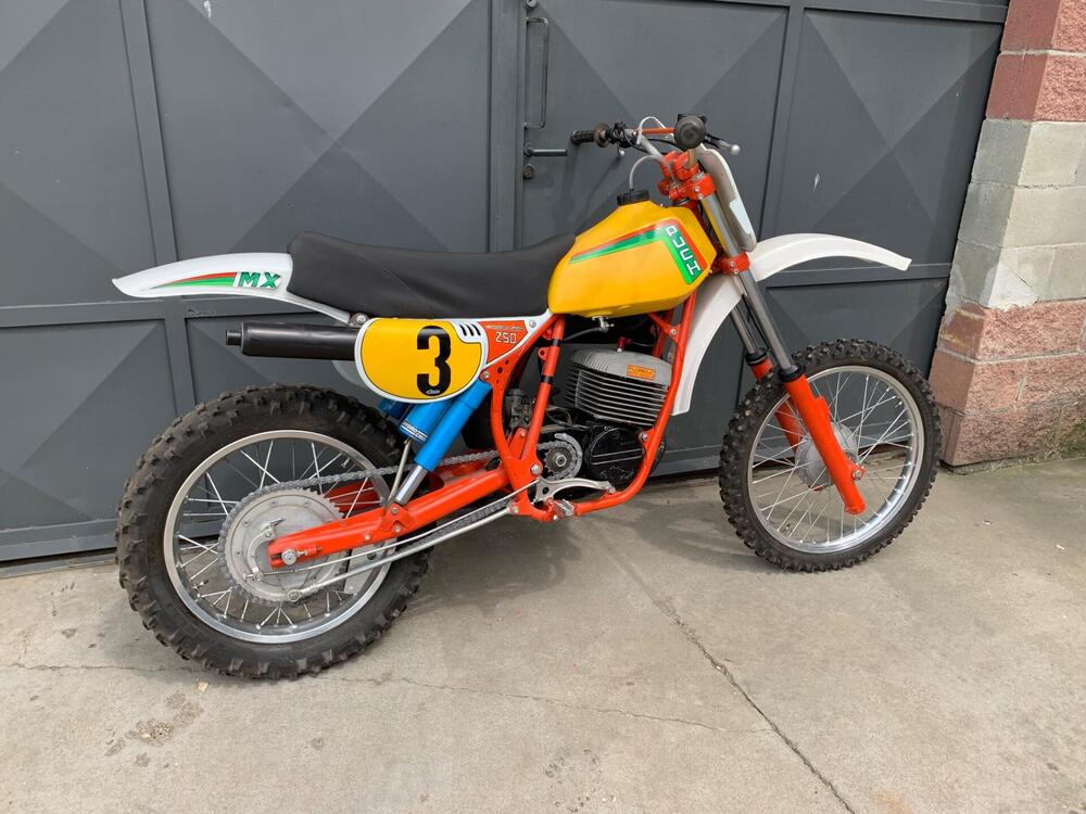 Puch Frigerio F3 250 MX (2)