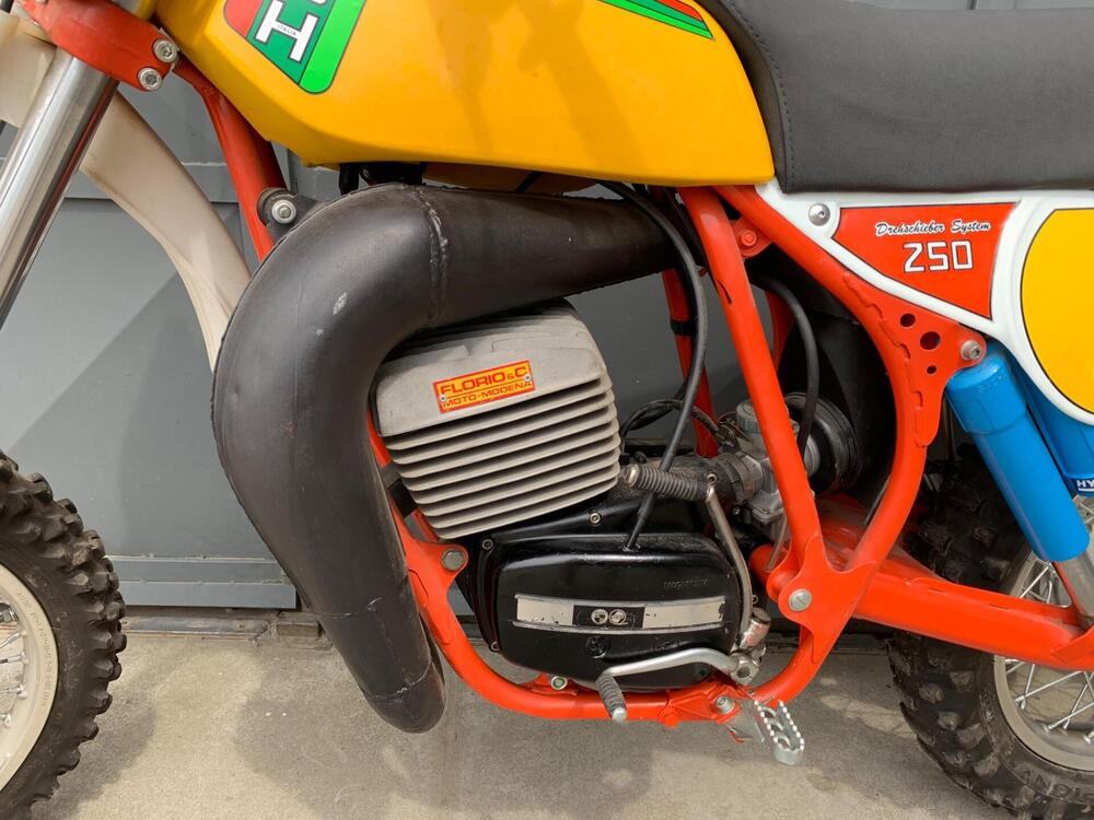 Puch Frigerio F3 250 MX (4)