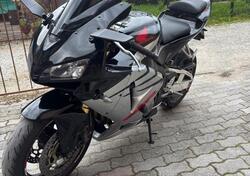 Honda CBR 600 RR (2005 - 06) usata