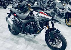 Morbidelli T1002VX (2024 - 25) nuova