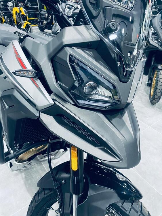 Morbidelli T1002VX (2024 - 25) (4)