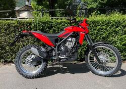 Betamotor Alp 4.0 (2024 - 25) nuova