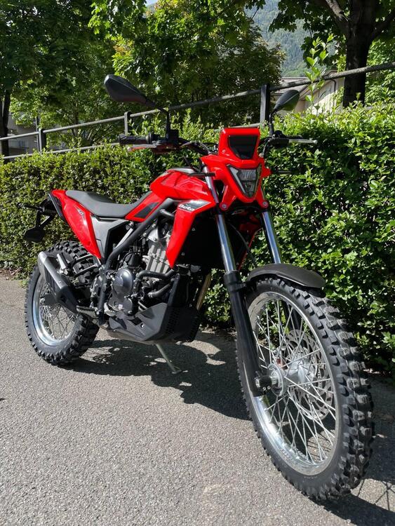 Betamotor Alp 4.0 (2024 - 25) (2)