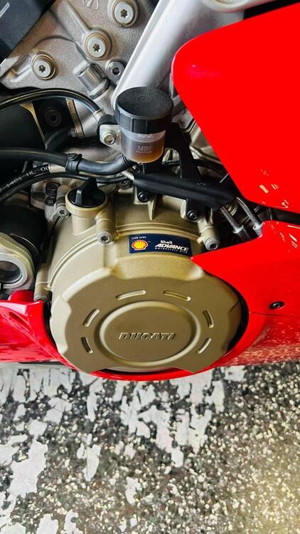 Ducati Panigale V4 S 1100 (2018 - 19) (5)