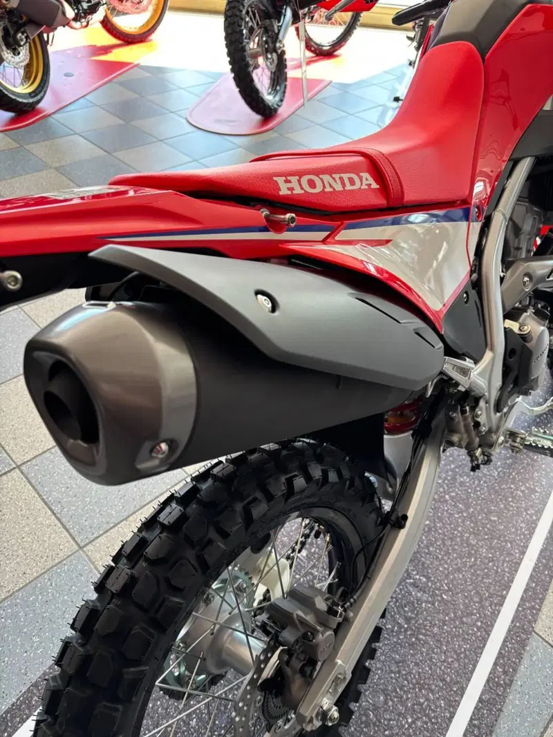 Honda CRF 300L (2025 - 26) (6)