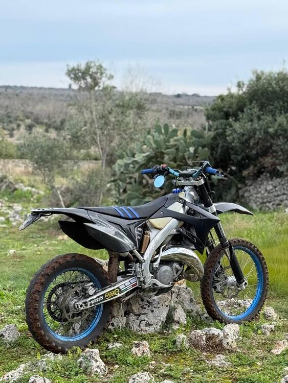 Tm Moto EN 125 (2016) (2)