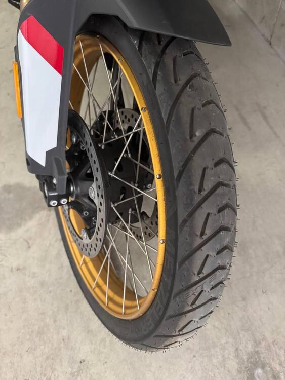 Bmw F 900 GS (2024 - 25) (4)