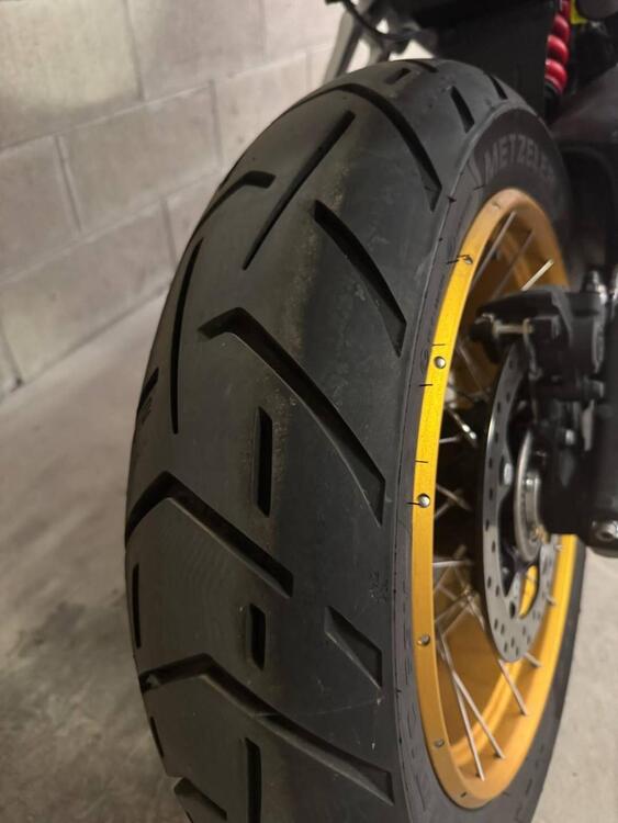 Bmw F 900 GS (2024 - 25) (5)