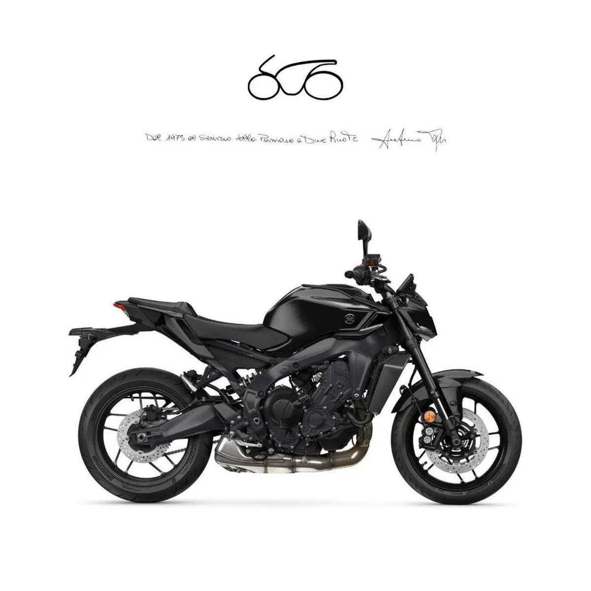 Yamaha MT-09 (2024 - 26)