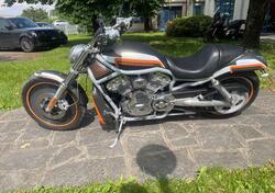 Harley-Davidson 1130 V-ROD (2002 - 05) - VRSCB usata