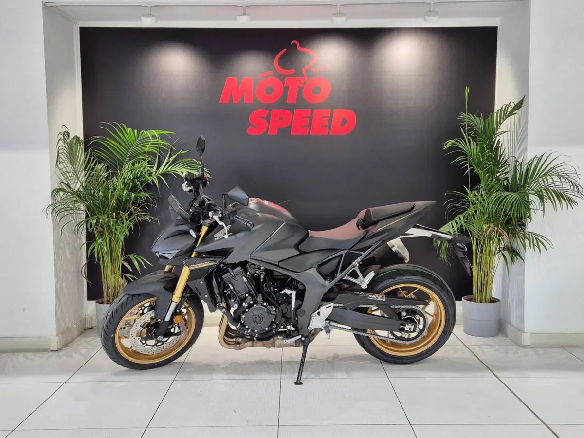 Honda CB 1000 Hornet SP (2025 - 26) (5)