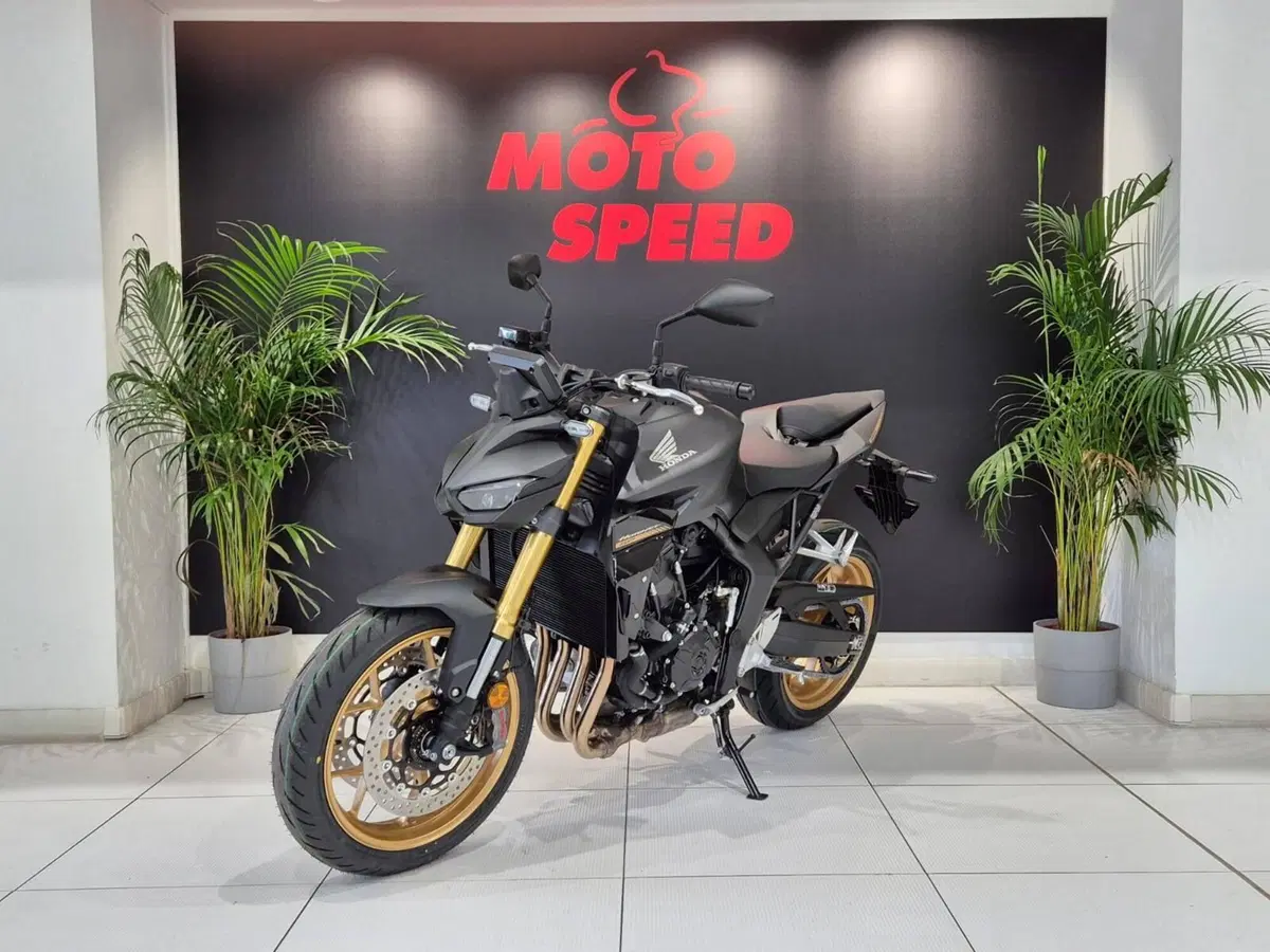 Honda CB 1000 Hornet SP (2025 - 26) (6)