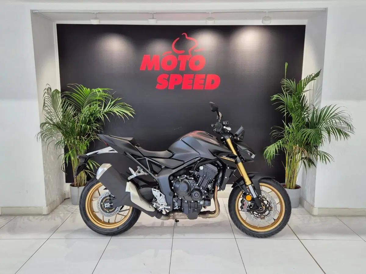 Honda CB 1000 Hornet SP (2025 - 26)