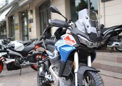 Moto Guzzi Stelvio Duecento Tributo (2025) nuova