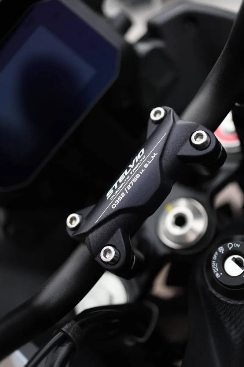 Moto Guzzi Stelvio Duecento Tributo (2025 - 26) (11)