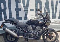 Harley-Davidson Pan America 1250 (2020 - 25) usata