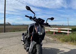 KTM 125 Duke (2021 - 23) usata