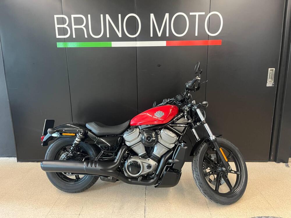 Harley-Davidson Nightster (2023 - 25)