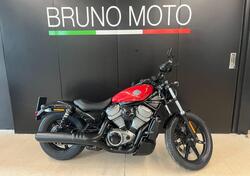 Harley-Davidson Nightster (2023 - 25) usata