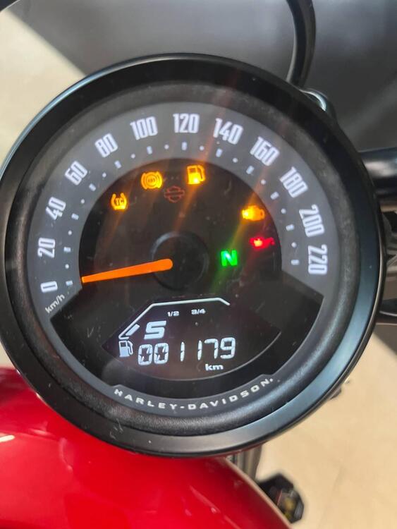 Harley-Davidson Nightster (2023 - 25) (5)