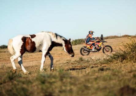 Rally-Raid. South African Safari Rally. Interrogativi. Daniel Sanders sta riscrivendo la storia? E Lategan (Toyota)? [VIDEO]