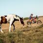 Rally-Raid. South African Safari Rally. Interrogativi. Daniel Sanders sta riscrivendo la storia? E Lategan (Toyota)? [VIDEO]