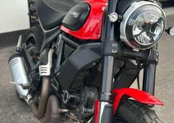 Ducati Scrambler 800 Icon (2021 - 22) usata