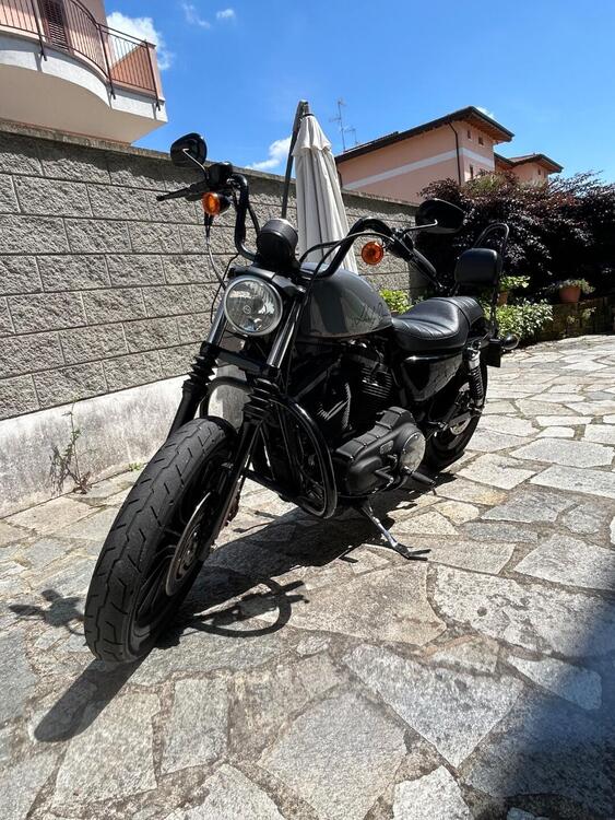Harley-Davidson 883 Iron (2012 - 14) - XL 883N (2)