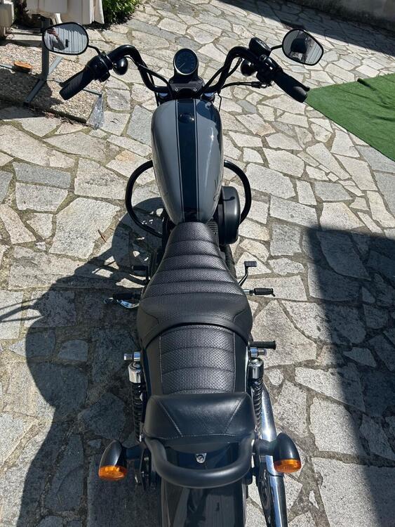 Harley-Davidson 883 Iron (2012 - 14) - XL 883N (5)