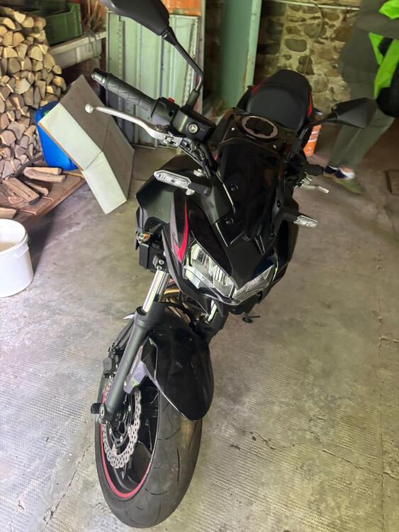 Kawasaki Z 650 Performance (2021 - 24)