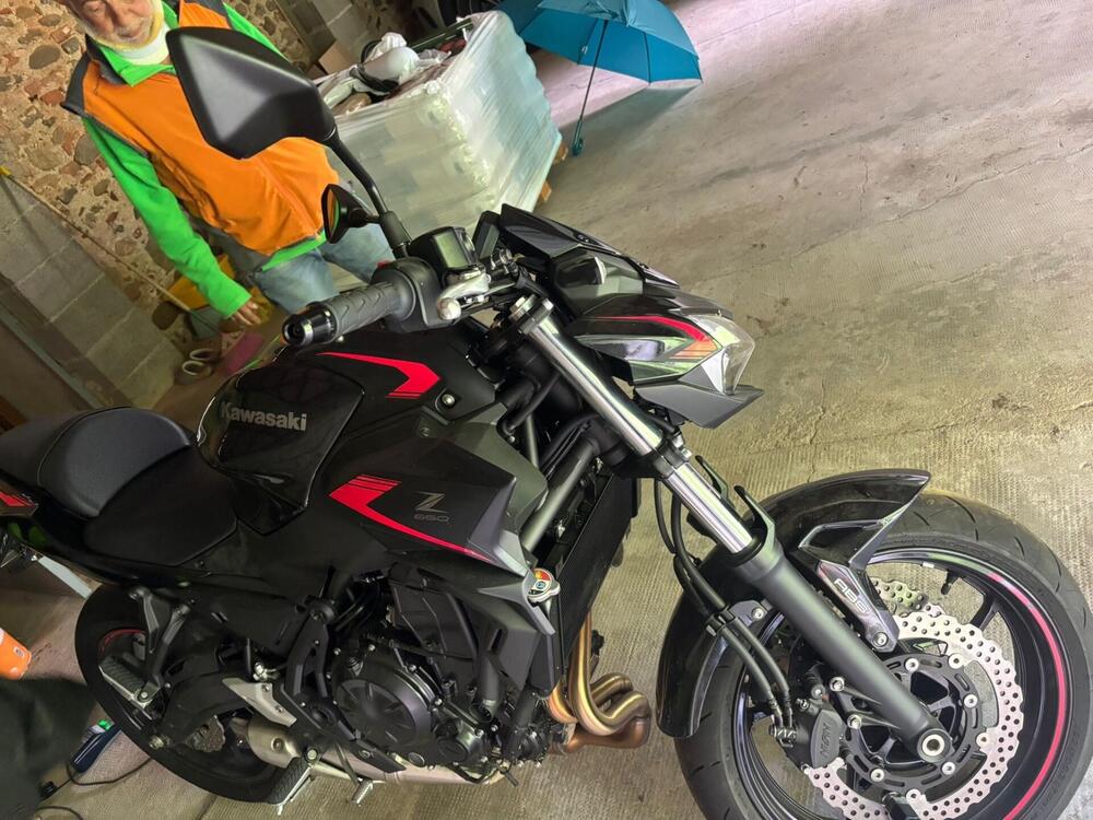 Kawasaki Z 650 Performance (2021 - 24) (2)
