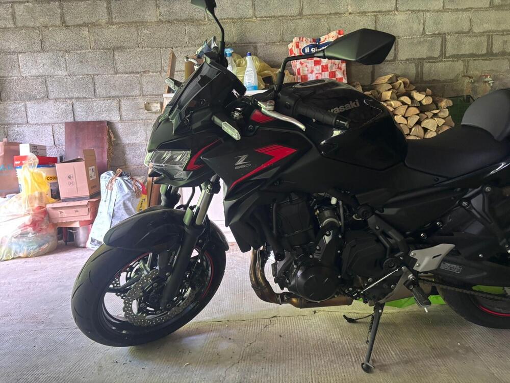 Kawasaki Z 650 Performance (2021 - 24) (3)
