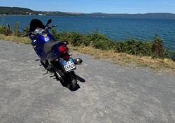 Suzuki GSX 600 F (1998- 05) usata