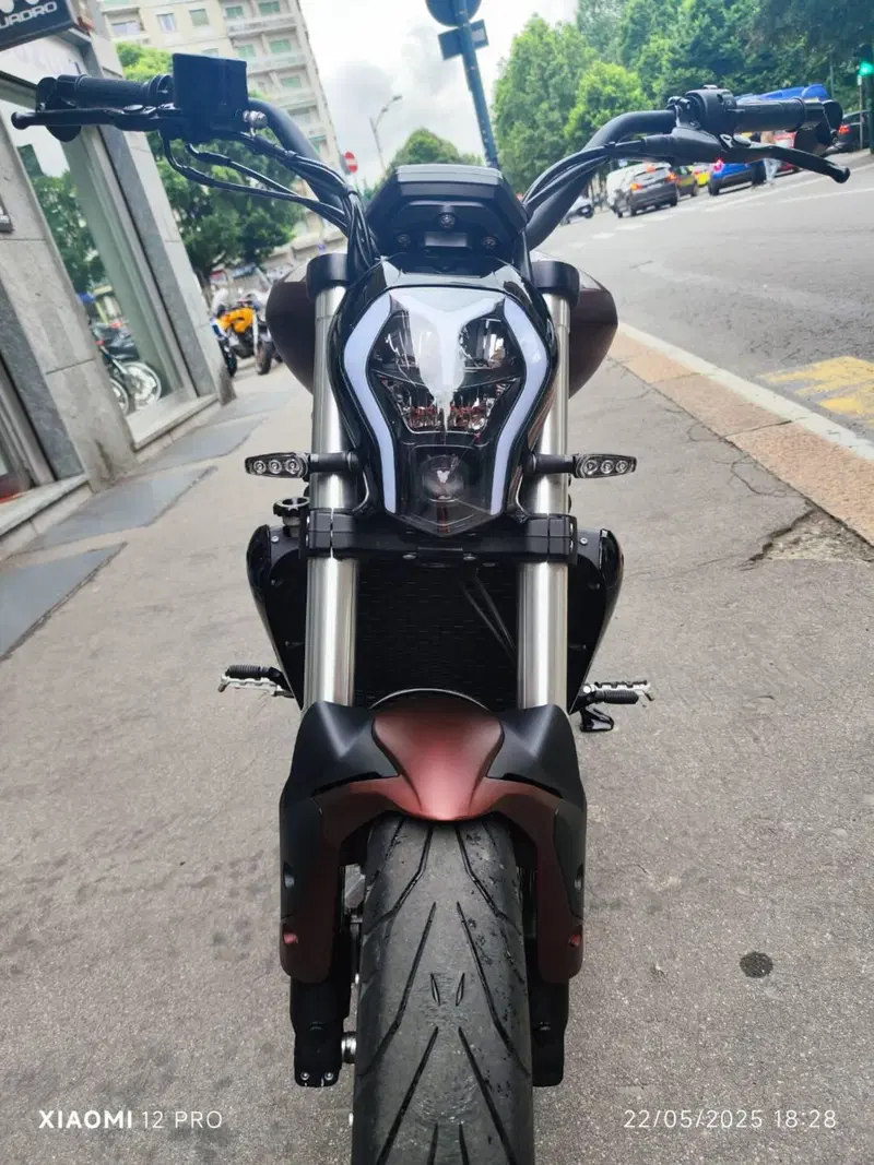 Benelli 502 C (2021 - 25) (5)