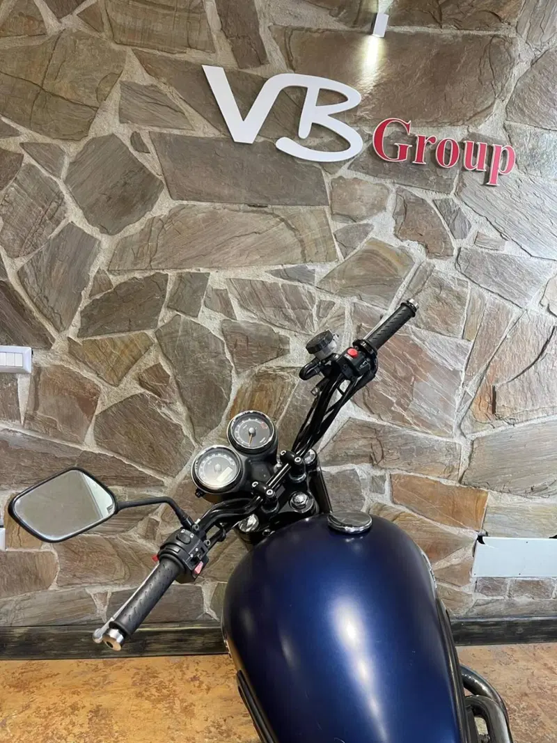 Triumph Scrambler (2006 - 17) (19)