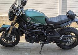 Benelli Leoncino 800 (2022 - 25) usata