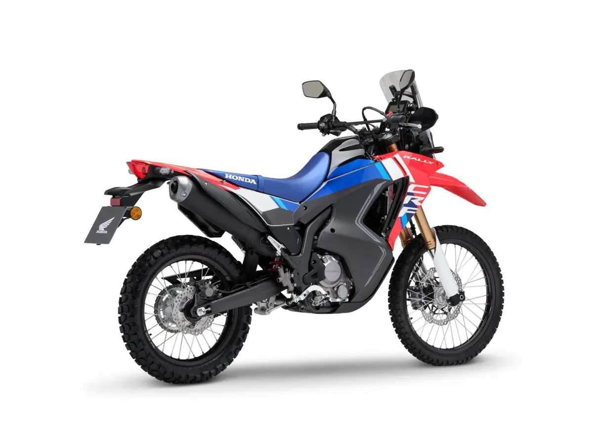 Honda CRF 300 Rally (2025 - 26) (3)
