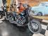 Harley-Davidson 1584 Cross Bones (2008 - 11) - FLSTSB (15)