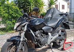 Honda Hornet 600 ABS (2011 - 13) usata