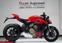 Ducati Streetfighter V4 (2023 - 24) usata
