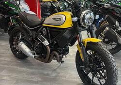 Ducati Scrambler 800 Icon (2021 - 22) usata